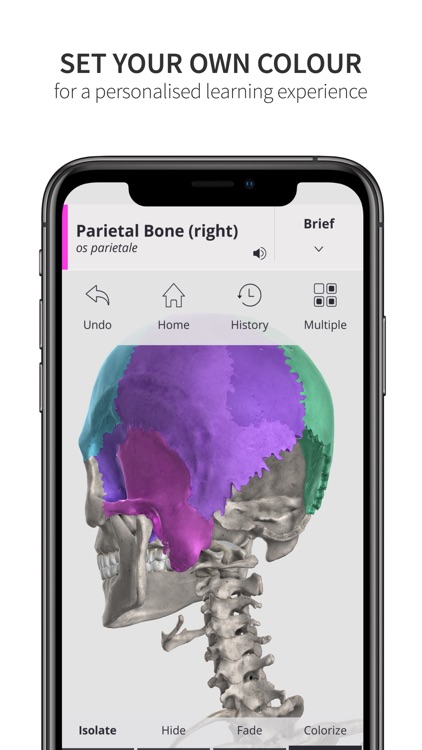 Anatomyka Skeleton screenshot-4