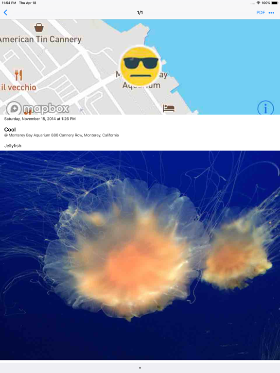 My e-Diary iPad screenshot 7 - Lifestyle app