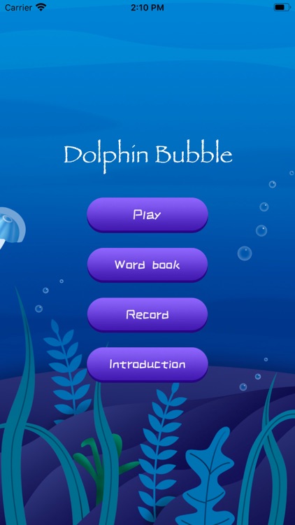 DolphinBubble