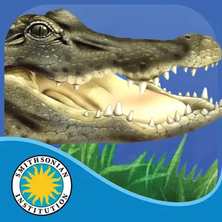 Alligator at Saw Grass Road Читы