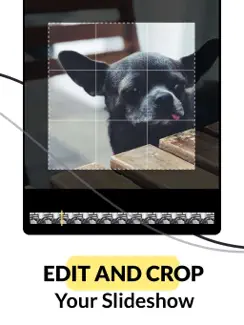 Slideshow Add Music to Photos iPad image 4