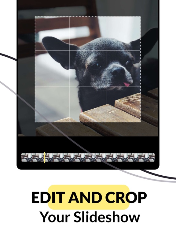 Slideshow Add Music to Photos iPad screenshot 4 - Photo & Video app