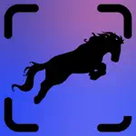 Horse Identifier App Problems