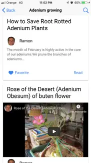 my adeniums - adenium care iphone screenshot 3