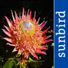 Wildflowers of South Africa App Positive Reviews