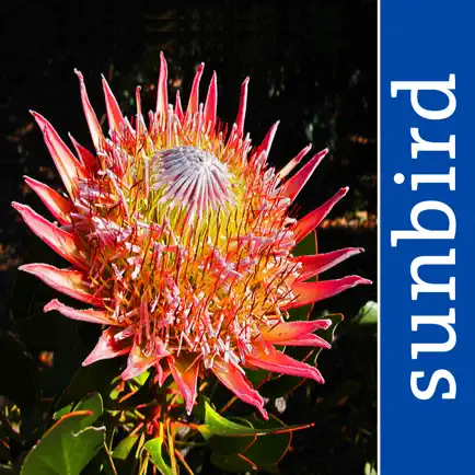 Wildflowers of South Africa Читы