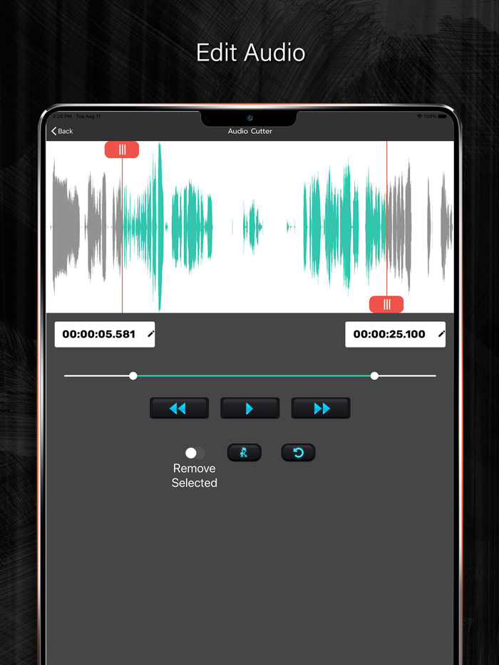 Audio Voice Recorder and Editor