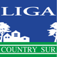 Liga Country Sur