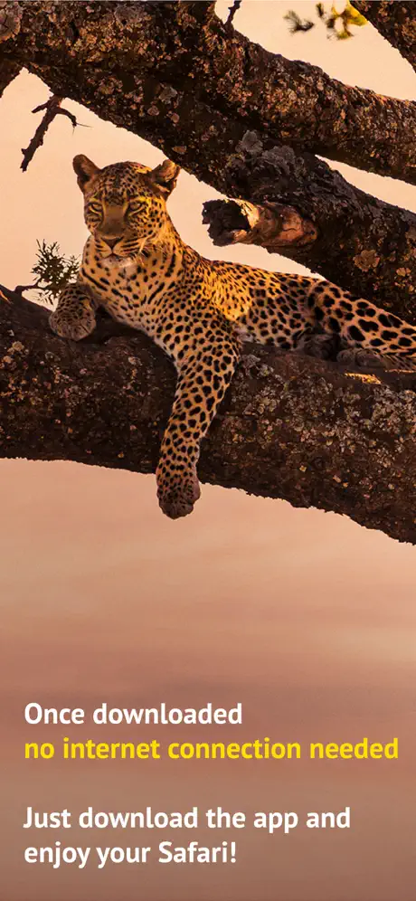 The Golden Safari Guide