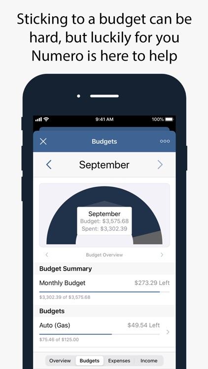 Numero: Personal Finance screenshot-4