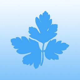 Петрушка Friends