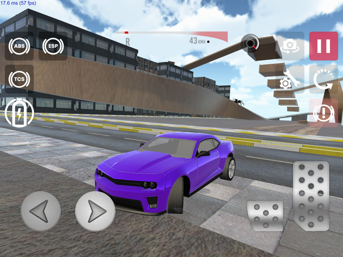 Auto Racing Driver Simulation