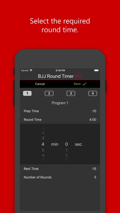 BJJ Round Timer Pro Screenshot