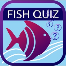 Activities of Fish Quiz 2019