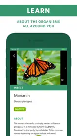 Seek by iNaturalist 3