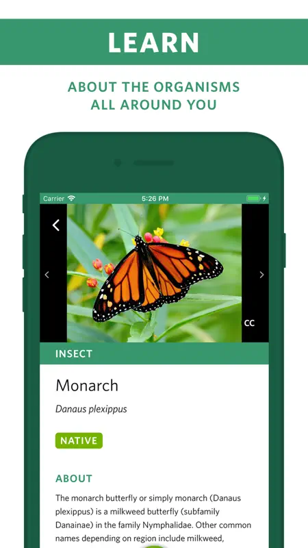 Seek by iNaturalist screenshot 3 of 6