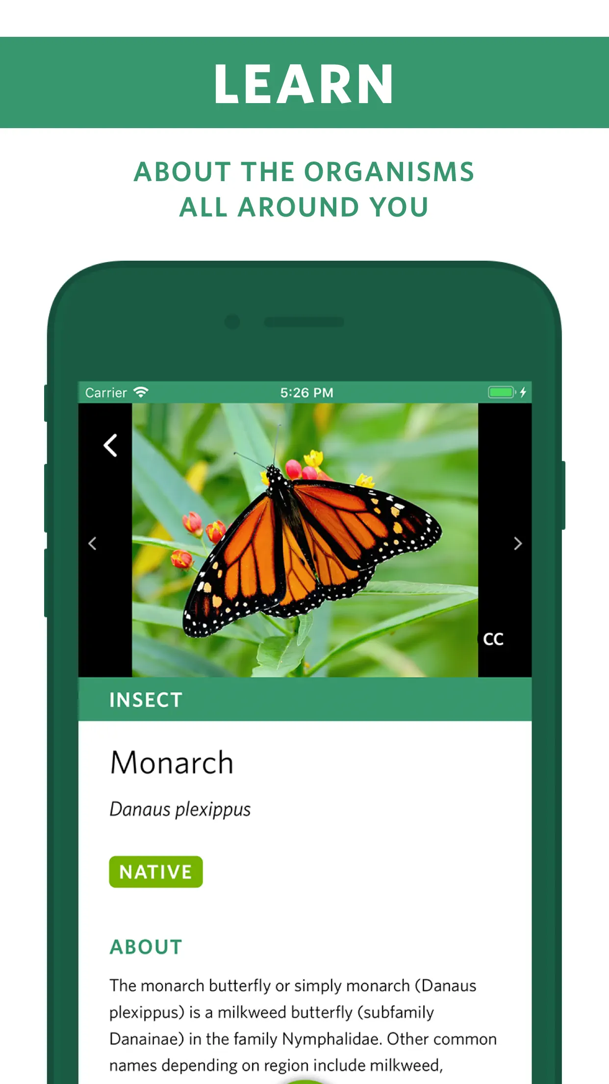 Seek by iNaturalist screenshot 3