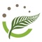 Which homeopathic remedy helps with injuries, cold or burns