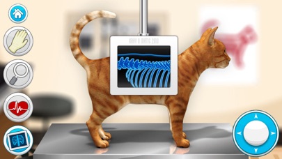 Doctor Games: Pet Vet Cat Care Screenshot