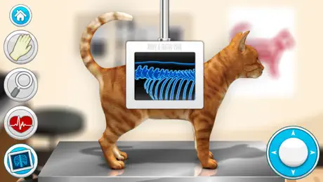 Doctor Games: Pet Vet Cat Care