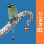 Download Panama Birds Field Guide Basic app