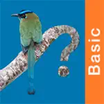 Panama Birds Field Guide Basic App Support