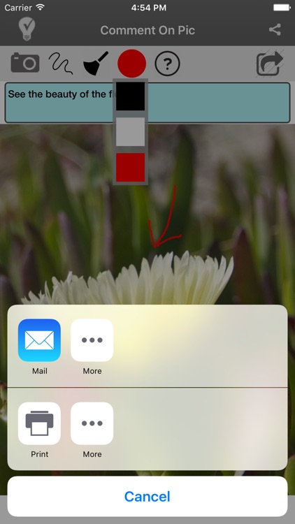 Comment On Picture screenshot-3