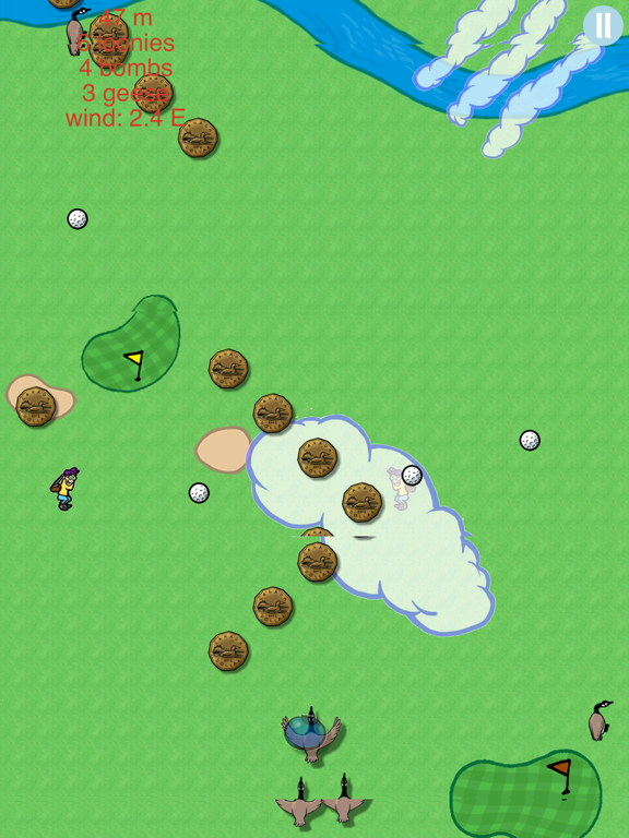 Screenshot #5 pour Geese Squad