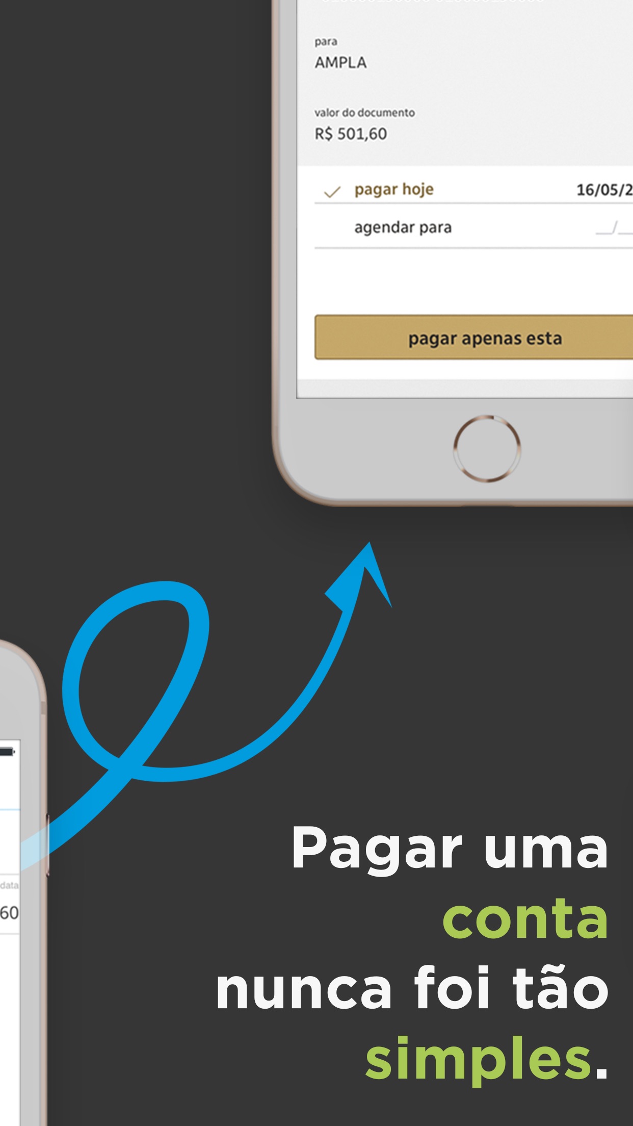 Screenshot do app papelada - controle de gastos