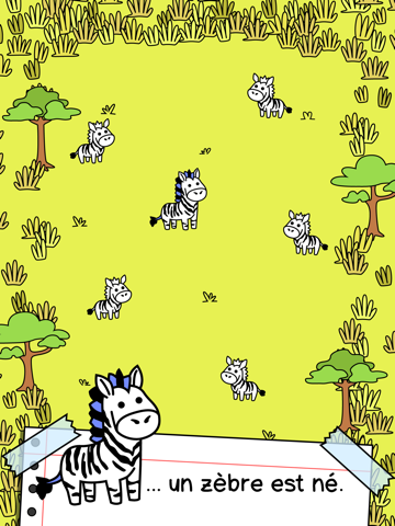 Screenshot #5 pour Zebra Evolution