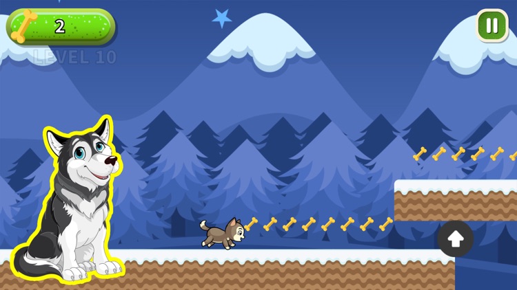 Husky Game - Siberian Husky