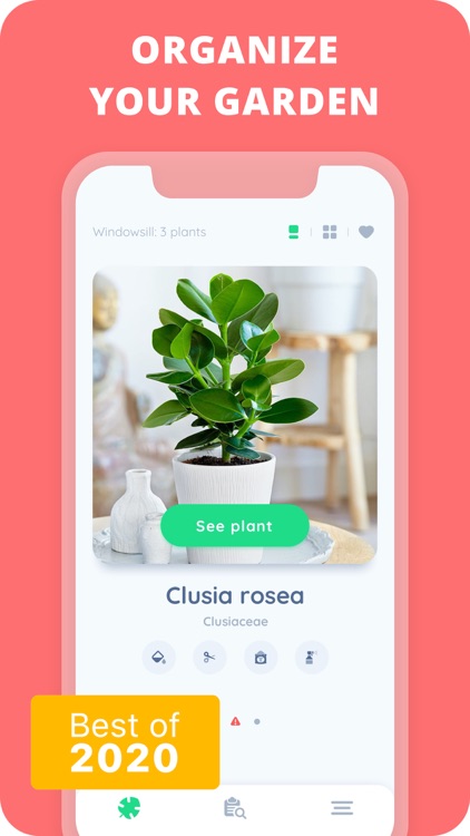 PlantIn: Plant Identifier screenshot-3