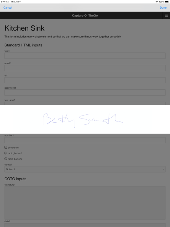 Capture OnTheGo iPad screenshot 8 - Business app