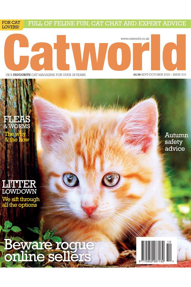 Catworld Magazine