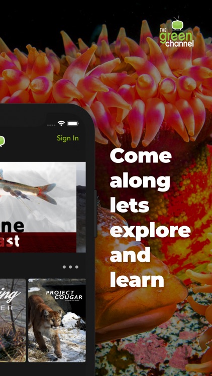 The Green Channel TV