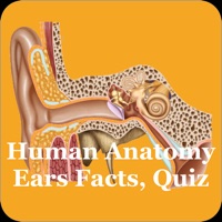 Human Anatomy Ears Facts, Quiz pour PC