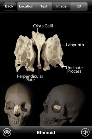 Skeletal Anatomy 3Dのおすすめ画像4