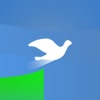 Dove Jump - an endless runner icon