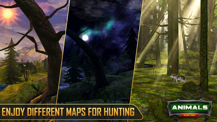 Hunting Games 2021 : Wild Deer