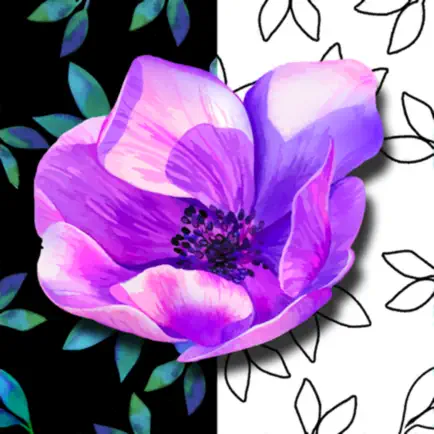 Coloring Sketchbook Cheats