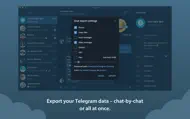 Telegram Lite iphone bilder 3