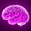 Genius Brain Positive Reviews, comments
