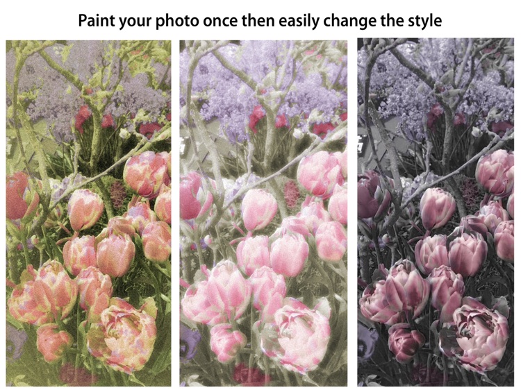 Hand Tint Pro screenshot-5