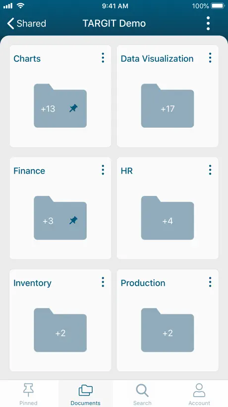 TARGIT Decision Suite