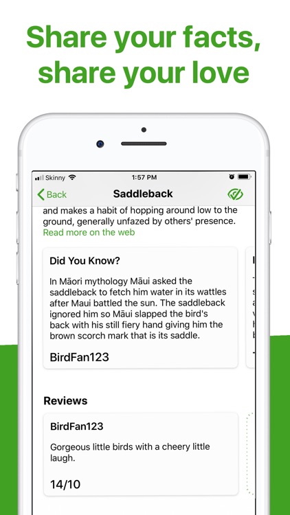 Bird Nerd NZ screenshot-5