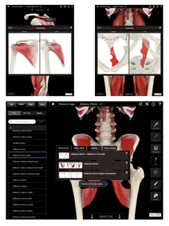 Muscle System Pro III iPad image 4