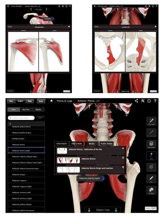 Muscle System Pro IIIのおすすめ画像4