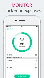 simple budget- track spendings iphone screenshot 2