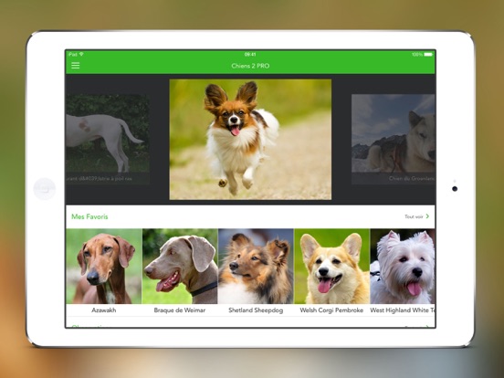 Screenshot #4 pour Chiens 2 PRO