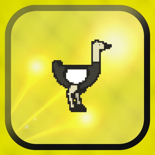 Ostrich Run Wild icon